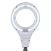 Galda lampa MAUL 8263602 Photo 4