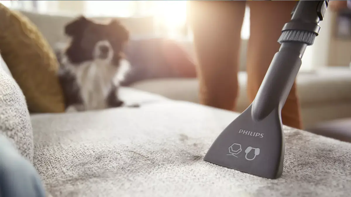 Philips XD5122/10 cylinder vacuum Photo 3