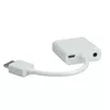 HDMI uz VGA adapteris ROLINE 12.03.3114 Photo 3