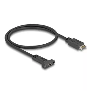 DeLOCK USB Кабель USB Type-E Key A 20 pin male к USB Type-C female 50 см