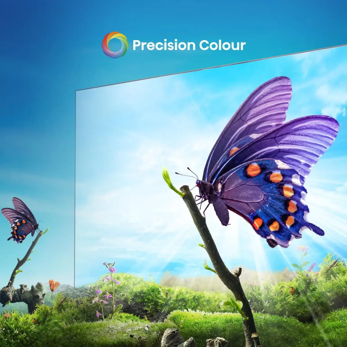 Телевизор HISENSE 50A6N 4K Ultra HD Smart Photo 8