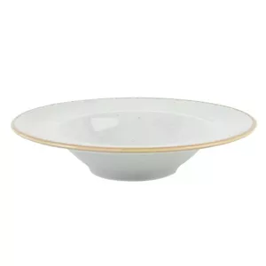 Ceramic dinner plate Porland SEASONS TR1204ALM002249 gray 31 cm