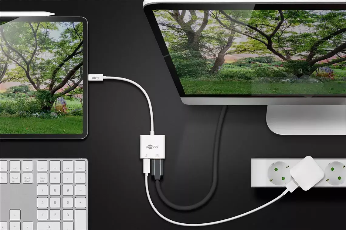 Адаптер USB-C HDMI Goobay 4k 60 Hz Photo 5
