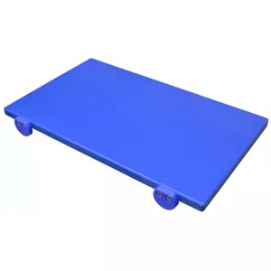 EUROCEPPI shoe rack IT26TPB50302ZILS plastic blue, dimensions 50×30×2 cm