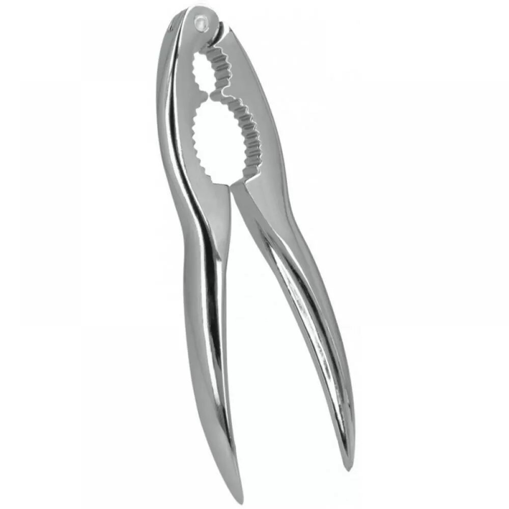 Graters & Food Choppers