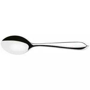 Serving spoon Tramontina BR0163906/040 18 cm stainless steel - polished, dishwasher-safe