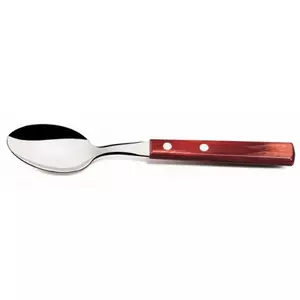 Spoon Tramontina Polywood BR0121107/470 — stainless steel head, Polywood handle, aluminum rivets