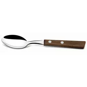 Teaspoon Tramontina BR0122207/400 stainless steel with natural wooden handle, dishwasher-safe