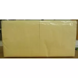Paper napkins Lenek 24/2 200 pcs Champagne – disposable folded table napkins