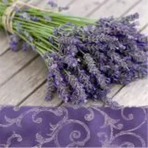 Papīra salvetes Paw Decor Collection PL11SDL090000 33×33 cm Lavender in the Country