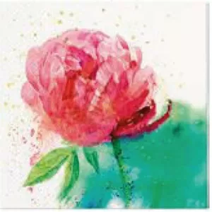 Paper napkins Paw Decor Collection PL11SDL143500 33×33 cm Peony Watercolor, disposable party napkins