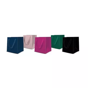 Gift bag Paw Decor Collection Small Monocolor 10×12×6.5 cm