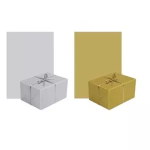 Wrapping paper Paw Decor Collection PL11AGP010010 70 x 200 cm Monocolor Silver‑Gold
