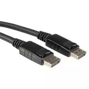 DisplayPort Cable ROLINE DP M - DP M 2 m