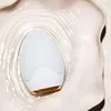 Вибрирующая щетка Silk'n Bright Lux Photo 5