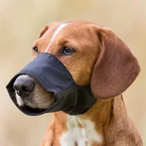 Loop muzzle Trixie TRIXIE 1921 for dogs, size XS/S, snout circumference up to 15 cm, neck 14–28 cm