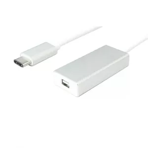 USB 3.1 C Mini DisplayPort VALUE 0.1 m