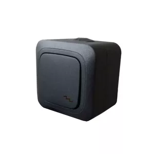 Двухпозиционный выключатель LIREGUS Hermi PP6.10-008.J, 10AX 250В, черный