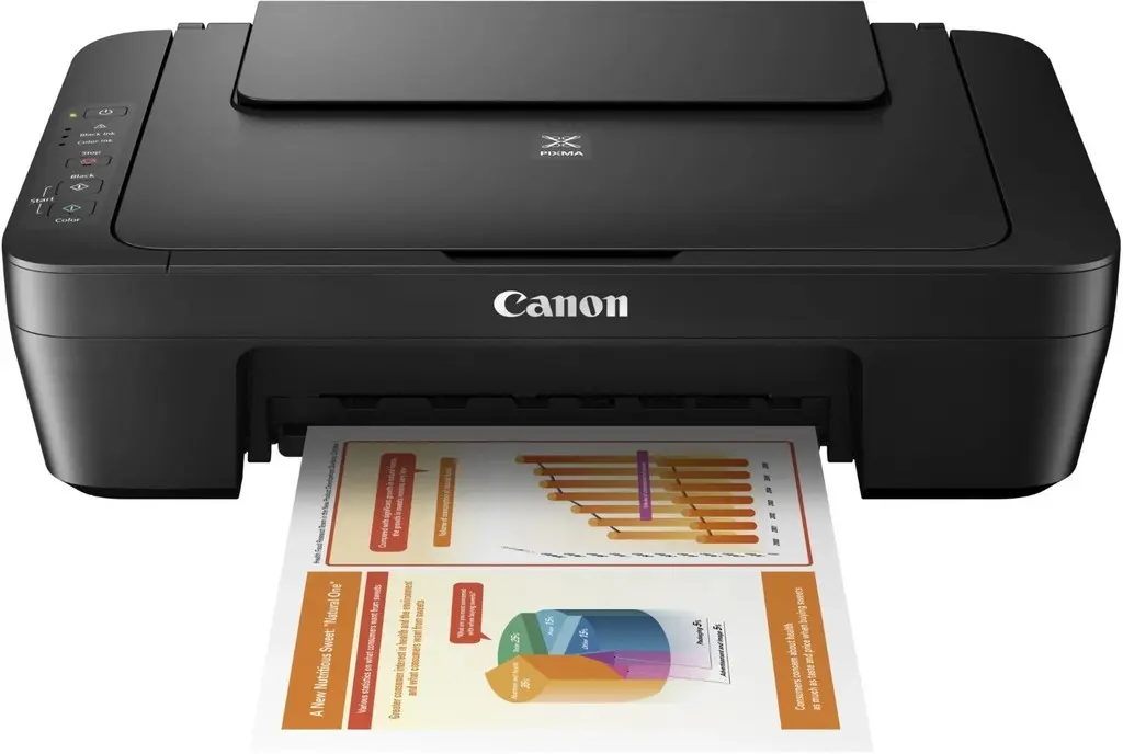 Multifunction Device Canon PIXMA MG2556S Photo 3