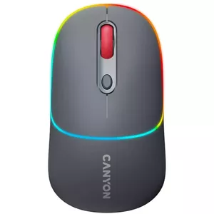 Мышь Canyon MW-22 RF Wireless + Bluetooth