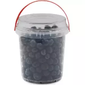 Frozen Blueberries Ogas 500 g - pack of 500g