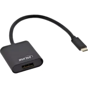 USB Display converter InLine 64102B USB-C male to DisplayPort 4K/60Hz