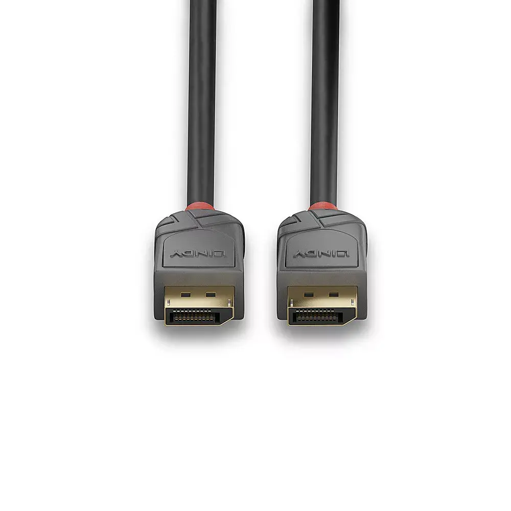 DisplayPort kabelis Lindy 0.5m Photo 4