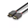 DisplayPort kabelis Lindy 0.5m Photo 5