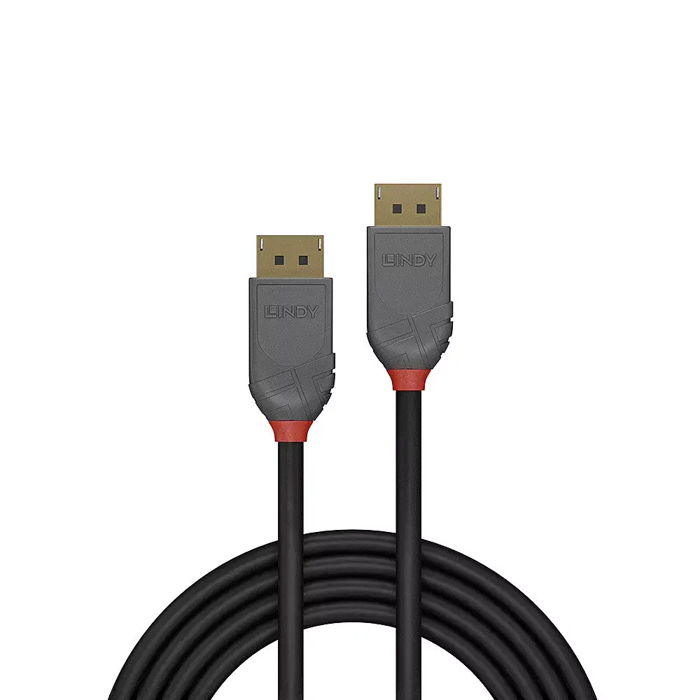 DisplayPort kabelis Lindy 1m Anthra Line Photo 2