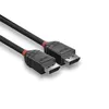 DisplayPort kabelis Lindy 1m Photo 3