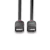 DisplayPort kabelis Lindy 1m Photo 4