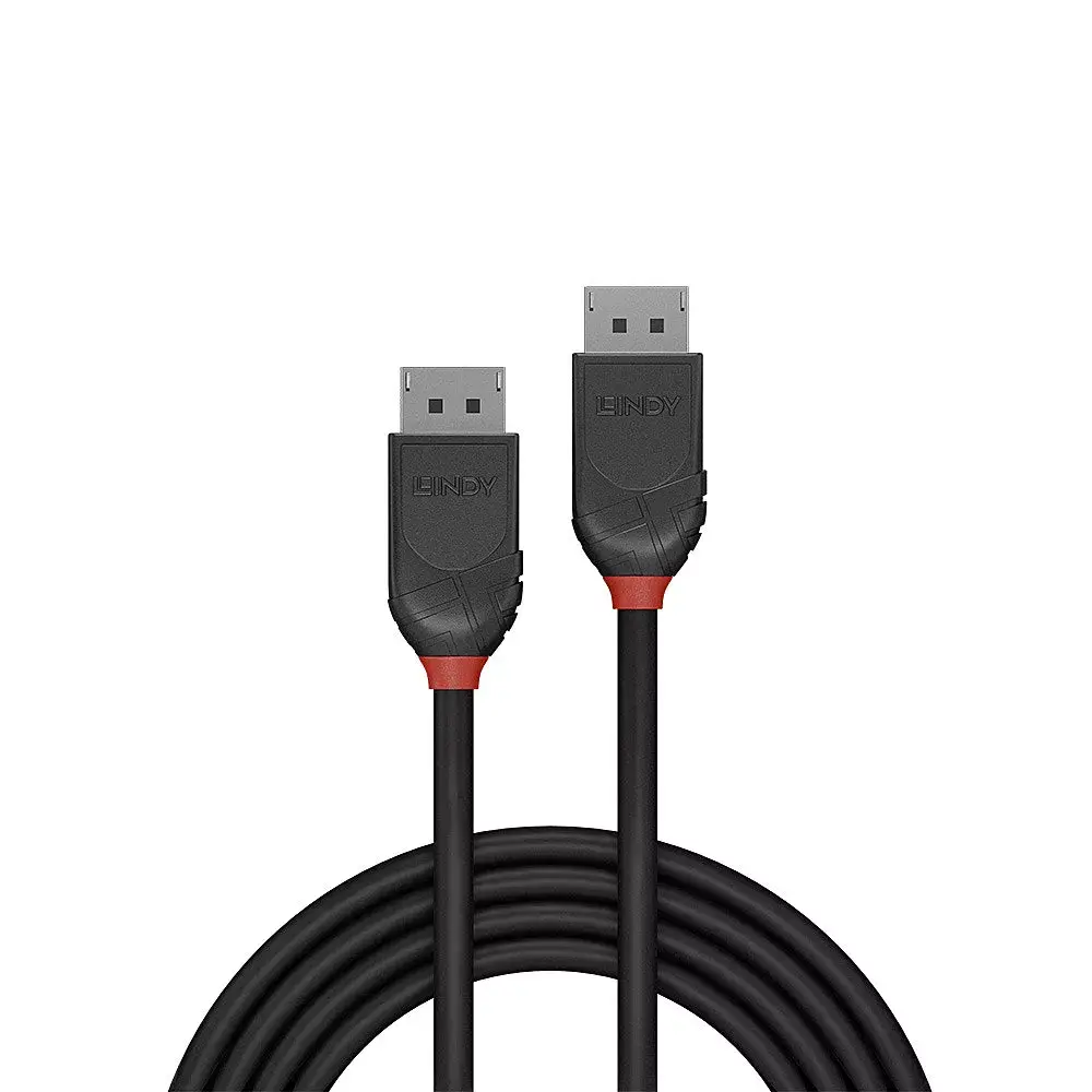 DisplayPort kabelis Lindy 1.5m Photo 2