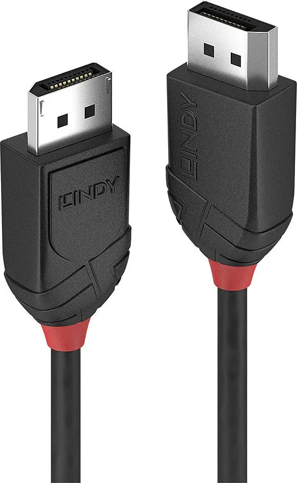 DisplayPort kabelis Lindy 1.5m Photo 6