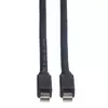 DisplayPort Cable ROLINE Mini DP - Mini DP M/M Photo 4
