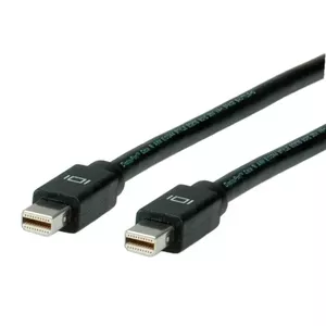 DisplayPort Cable Mini DP - Mini DP M/M 2m ROLINE