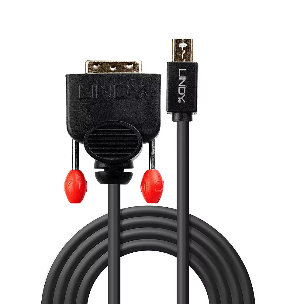 Mini DisplayPort uz DVI kabelis Lindy 41952 Photo 2