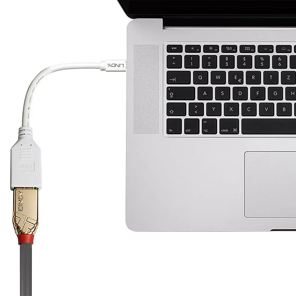 Mini DisplayPort uz DisplayPort adaptera kabelis Lindy 41021 Photo 3