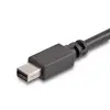USB-C to Mini DisplayPort Cable StarTech CDP2MDPMM6B Photo 3