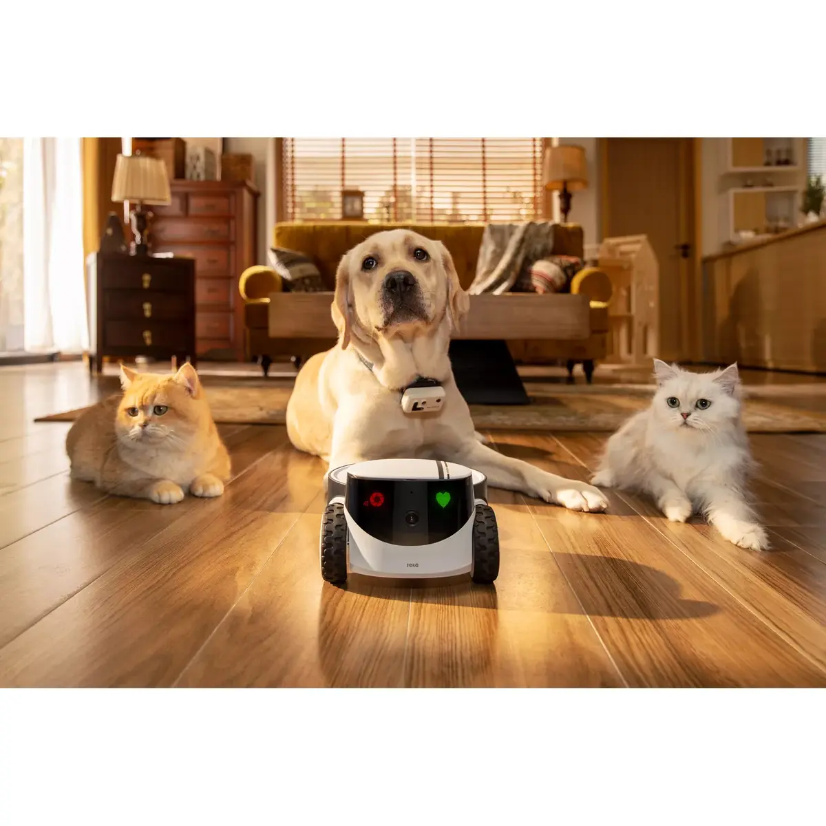 Камера видеонаблюдения Enabot Family Robot IP Camera Photo 6