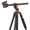 Штатив K&F Concept T254A7 с BH-28L Photo 2