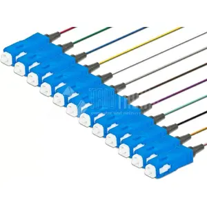 Lightwin PIG 09 SC-12 2.0 InfiniBand fibre optic cable 2 m Multicolour