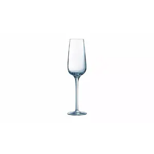 Champagne glass Chef and Sommelier FR01L2762/6 21 cl — stemmed flute for sparkling wines