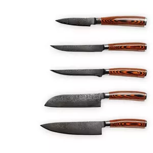 Kitchen Knife Damascus Steel Masutā 5-DPW 5 Pieces JH-D-02-5