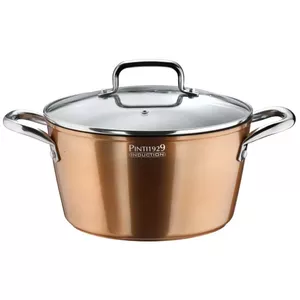 Casserole Pintinox IT653830V124 24 cm, 5 L, three-layer non-stick, induction-compatible