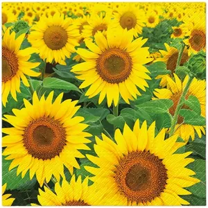 Paper napkins Paw Decor Collection PL11TL122800 33x33 cm — Sunflowers Field, 100% recycled