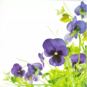 [E] SALVETES 33X33CM PANSIES FRAME, Paw Decor Collection
