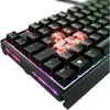 Клавиатура CHERRY XTRFY MX 3.1 Photo 10