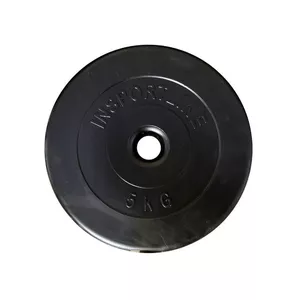 Svaru Plāksne Tomaz Sport TS-CM250X28 — 2,5 kg, ar cementa pildījumu, 28 mm caurums