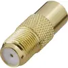 Cable gender changer Renkforce RF-4197003 Photo 2