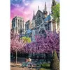 TREFL Premium Plus Нотр-Дам 1000 деталей Photo 2